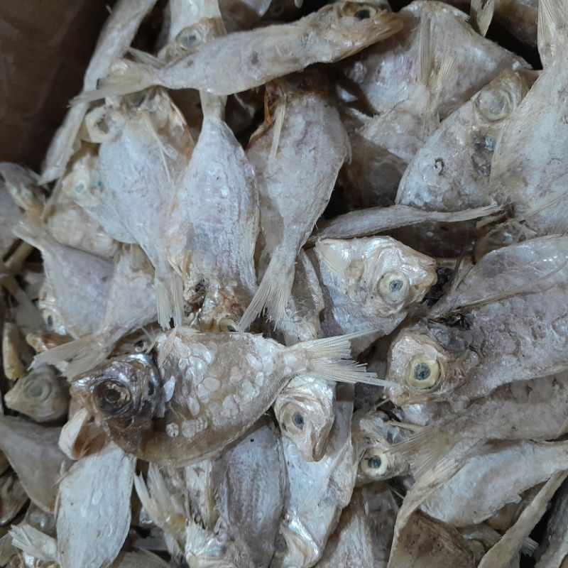 

ikan Asin Kapasan Kemasan 250 Gram