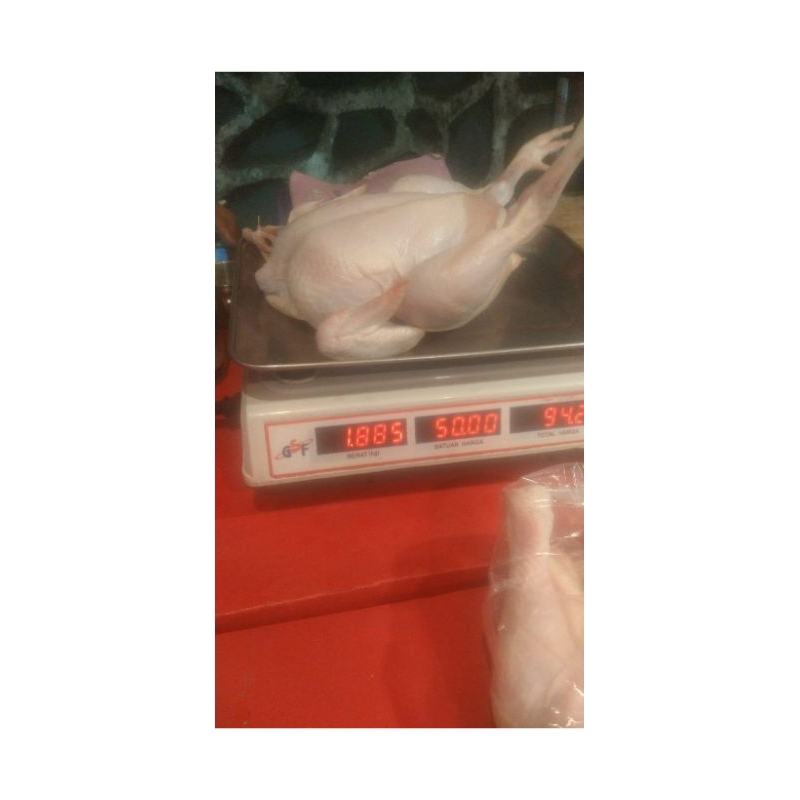 

Ayam ekoran 1,7kg - 2kg