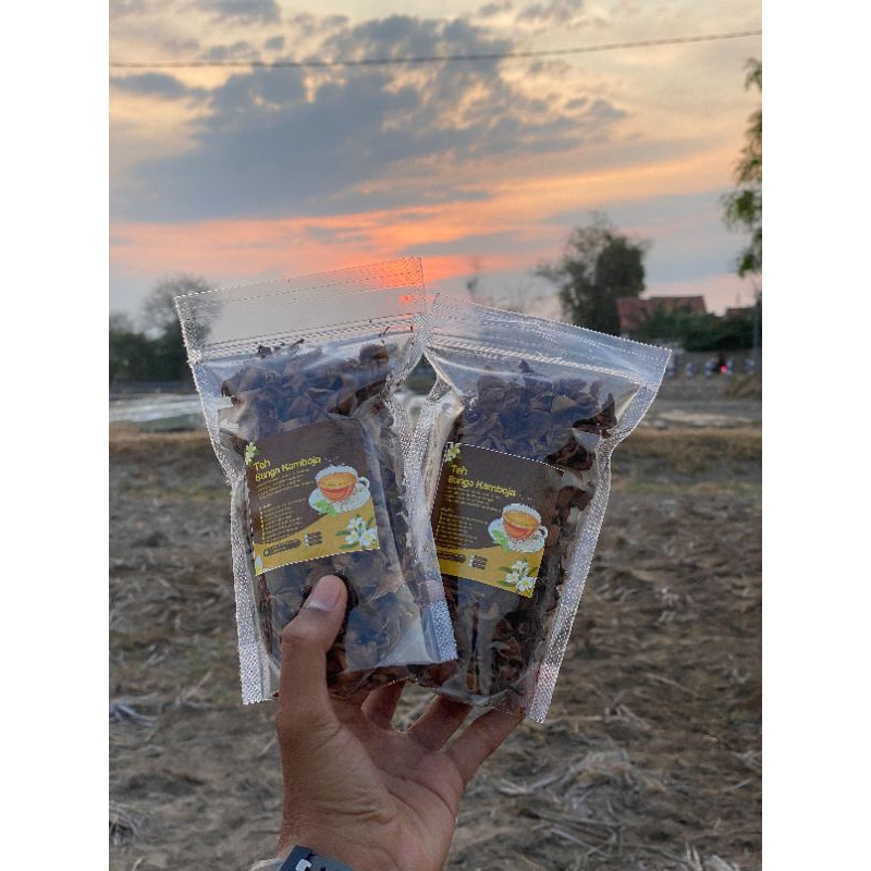 

Teh Bunga Kamboja (Alternatif Teh Herbal)