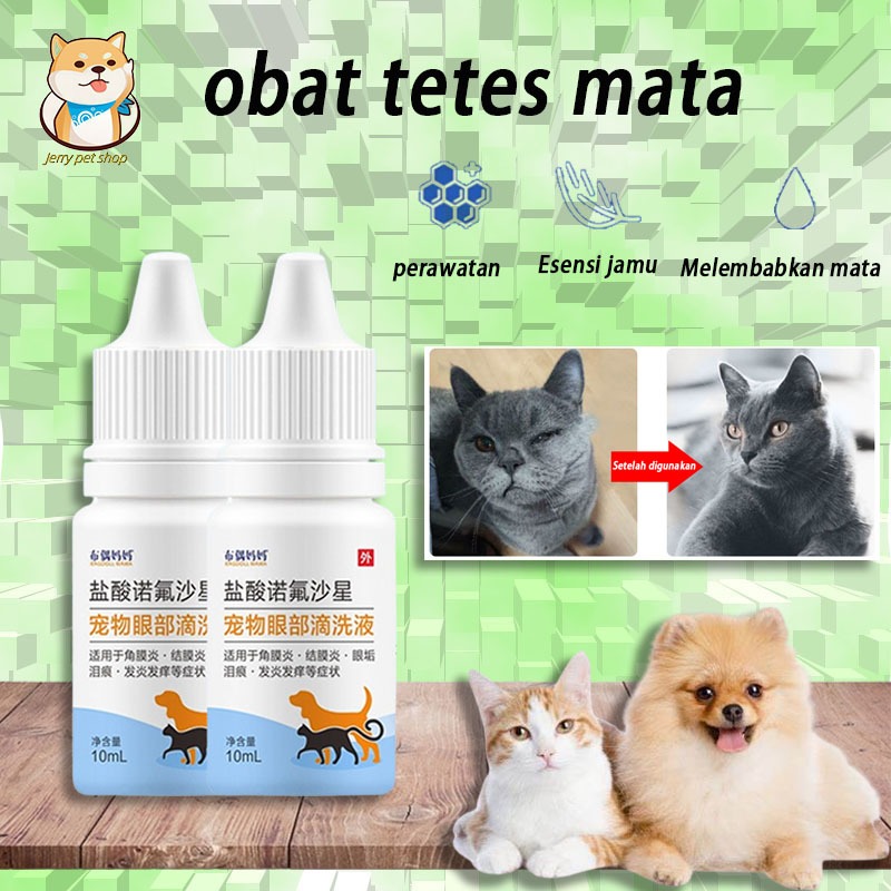 tetes mata obat mata kucing obat obatan obat tetes mata kucing