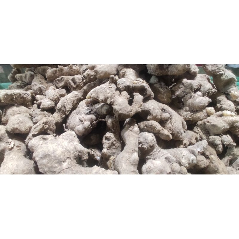 

JaheEmprit•500gram