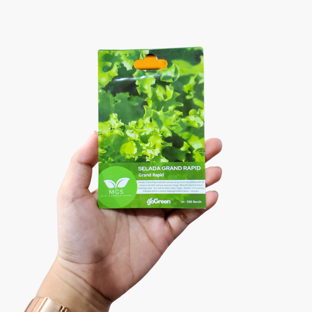 Benih Selada Hijau Grand Rapid/Selada Grand Rapid Benih Murah/Benih Selada Murah