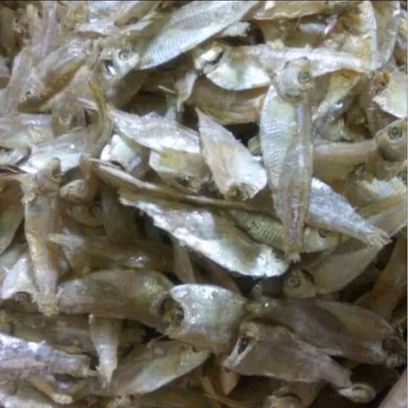 

Ikan Hase Hase / ikan Perak / ikan Keresek mentah 500gr