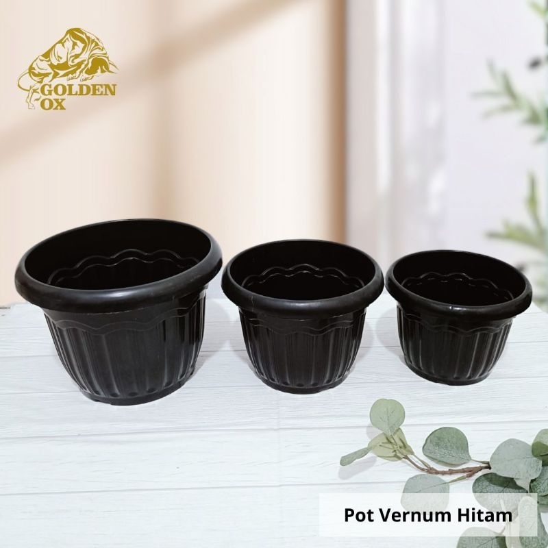 (1 Lusin) Pot Bunga Hitam Vernum Tebal /Pot Bibit / Pot Tanaman / Pot Bunga Murah