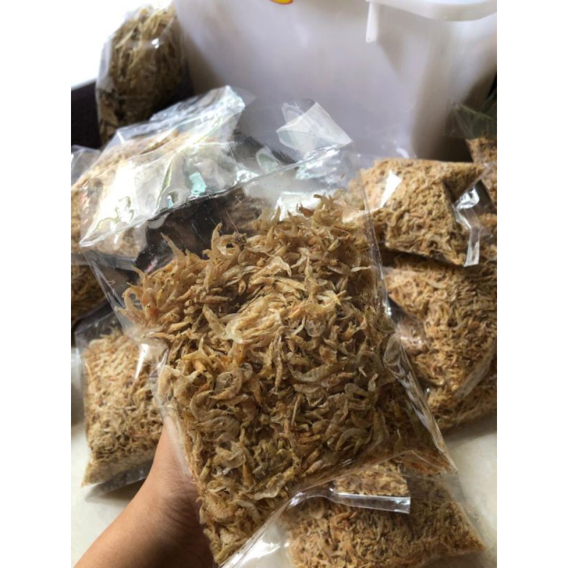 

udang rebon