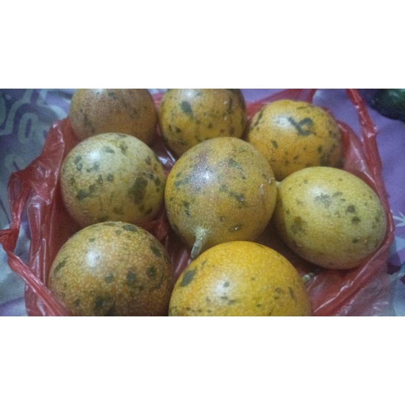 

buah konyal 1 kg