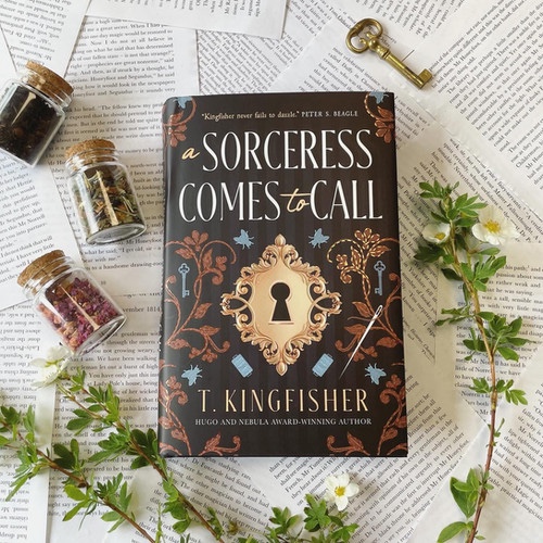 A sorceress comes to call by T Kingfisher | Bedside Tales Independent Bookstore fantasy fiction book
