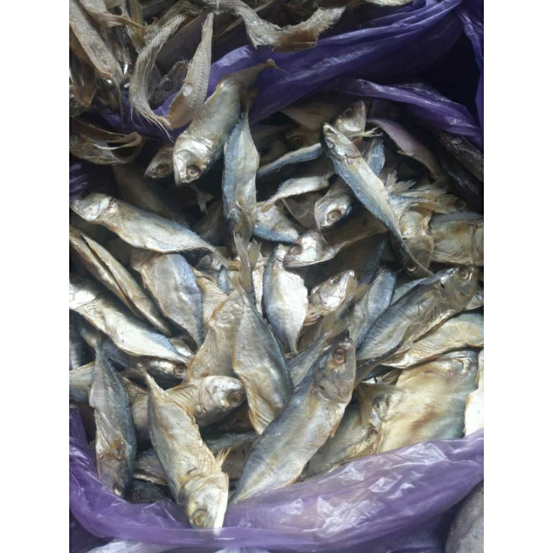 

gereh atau ikan asin (250 gram)