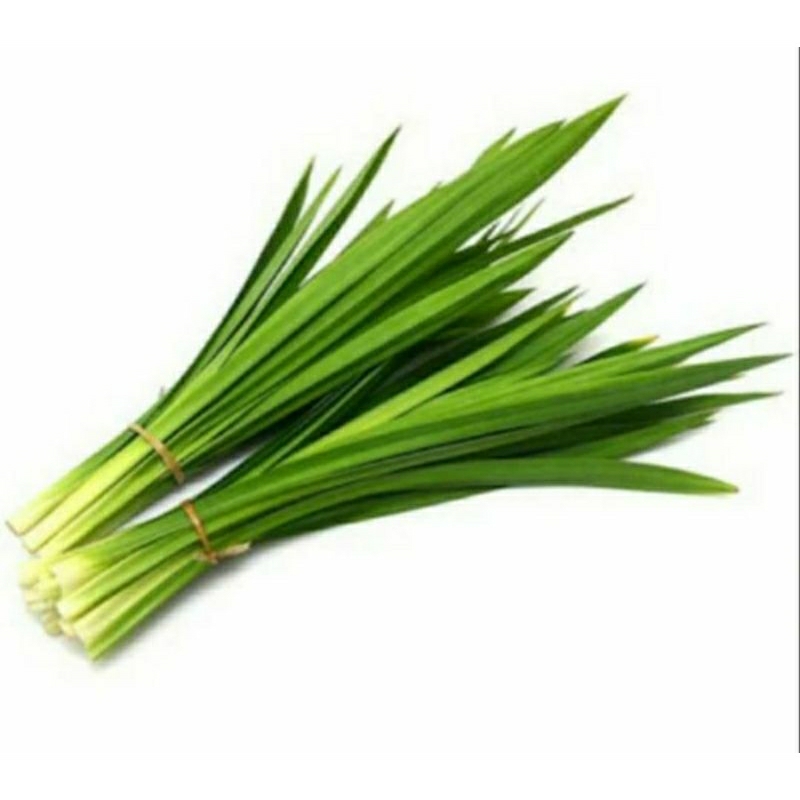 

DAUN PANDAN WANGI