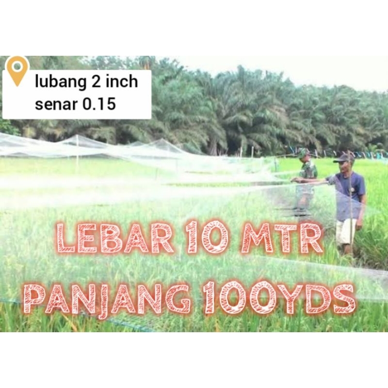 jaring sawah lebar 10 meter × 100yds lubang 2 inch senar 0.15 jaring burung jaring padi jaring penga