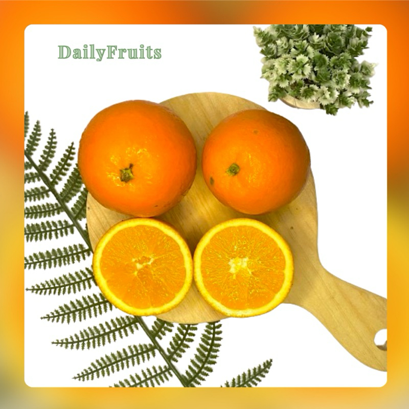 

Jeruk Sunkist Fresh Import 1kg | DailyFruits