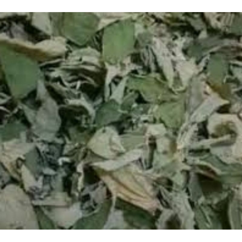 

Daun kresen / daun talok kering alami