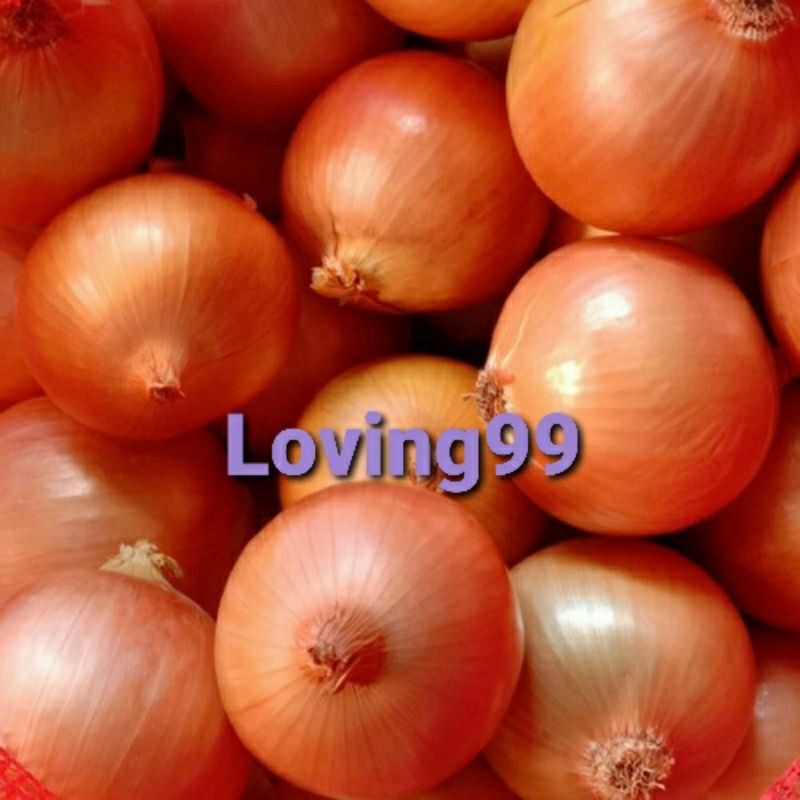 

Bawang Bombay Besar 60/80 2kg