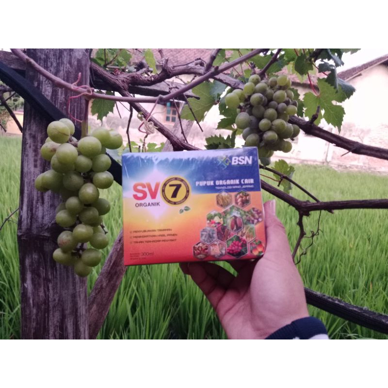 PUPUK CAIR SV7