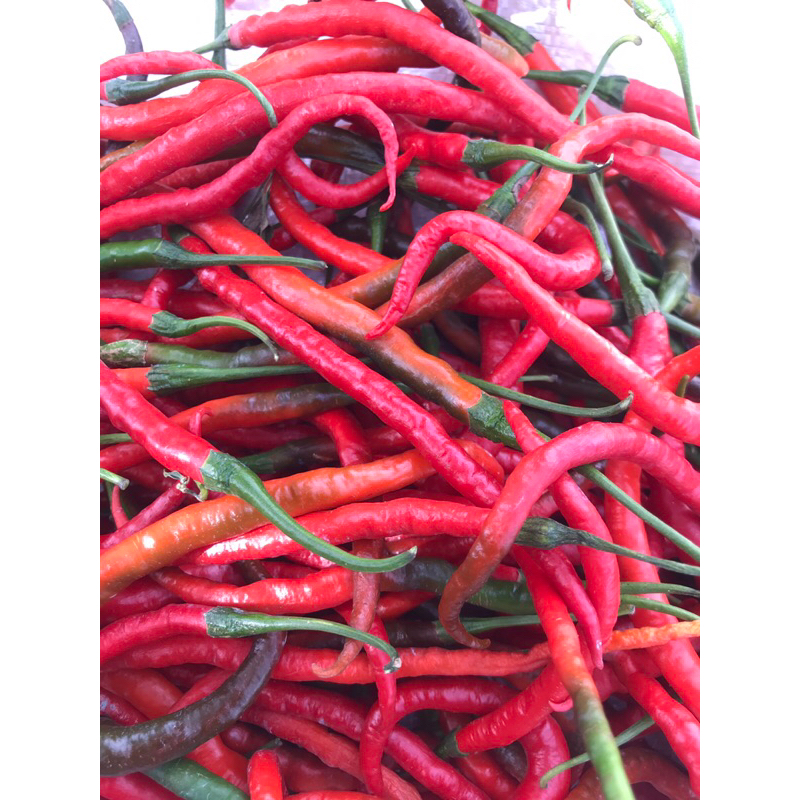 

Cabe Merah besar 500 gr