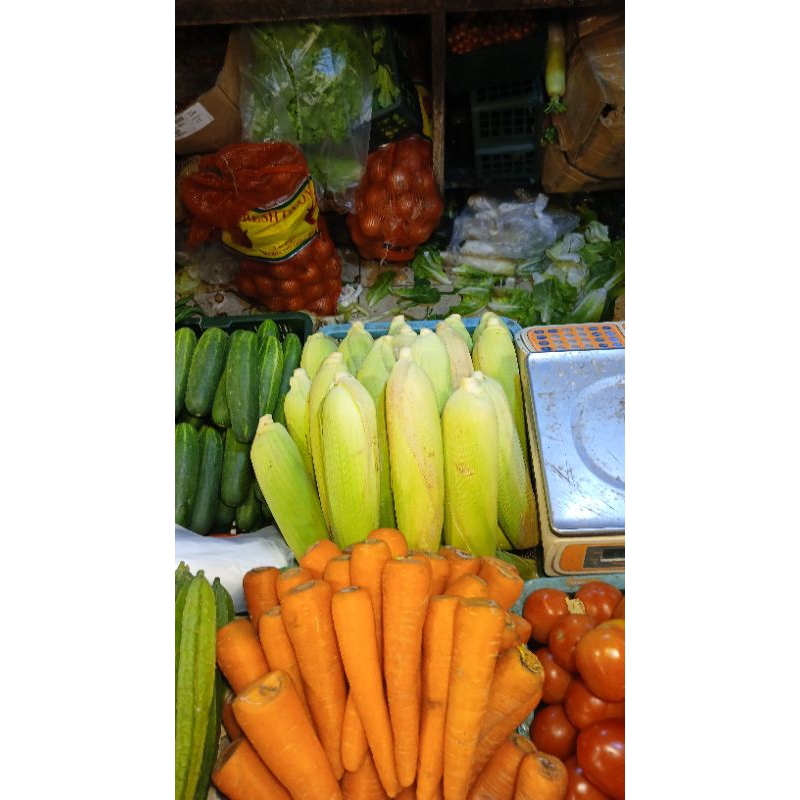

jagung manis 3 biji