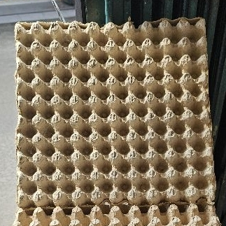 Tray Puyuh Karton / Egg Tray Puyuh MURAH