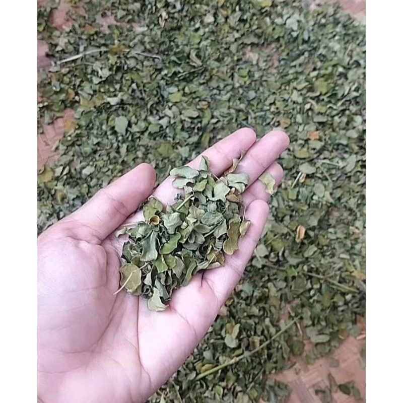 

Daun kelor kering Untuk Teh Herbal Alami Netto 100gram Original