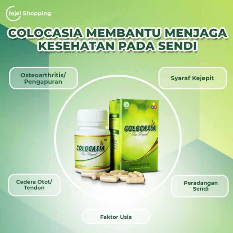COLOCASIA-COLOCASIA CAPSUL OBAT HERBAL ASLI ATASI PERSENDIAN