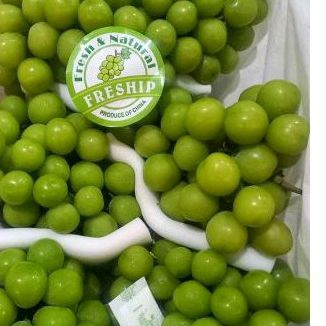

Buah Anggur Muscat Hijau 500 gr