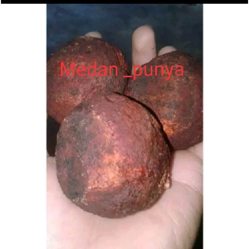 

getah Gambir / Gambir maha bunga