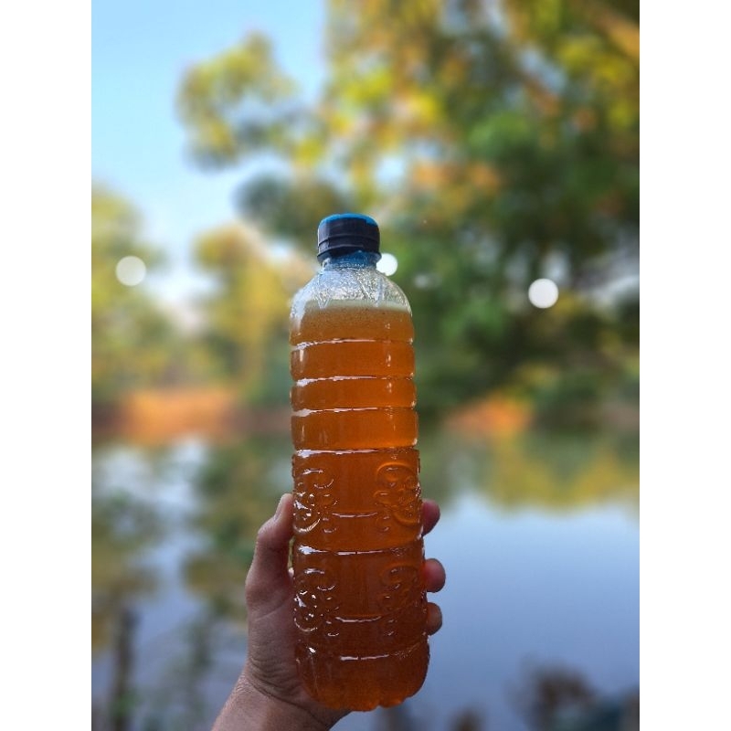 

Madu Tawon Murni 100%