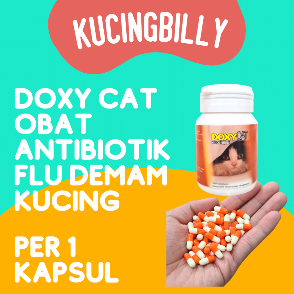 Doxy Cat Im Organic Ecer Obat Flu Kucing
