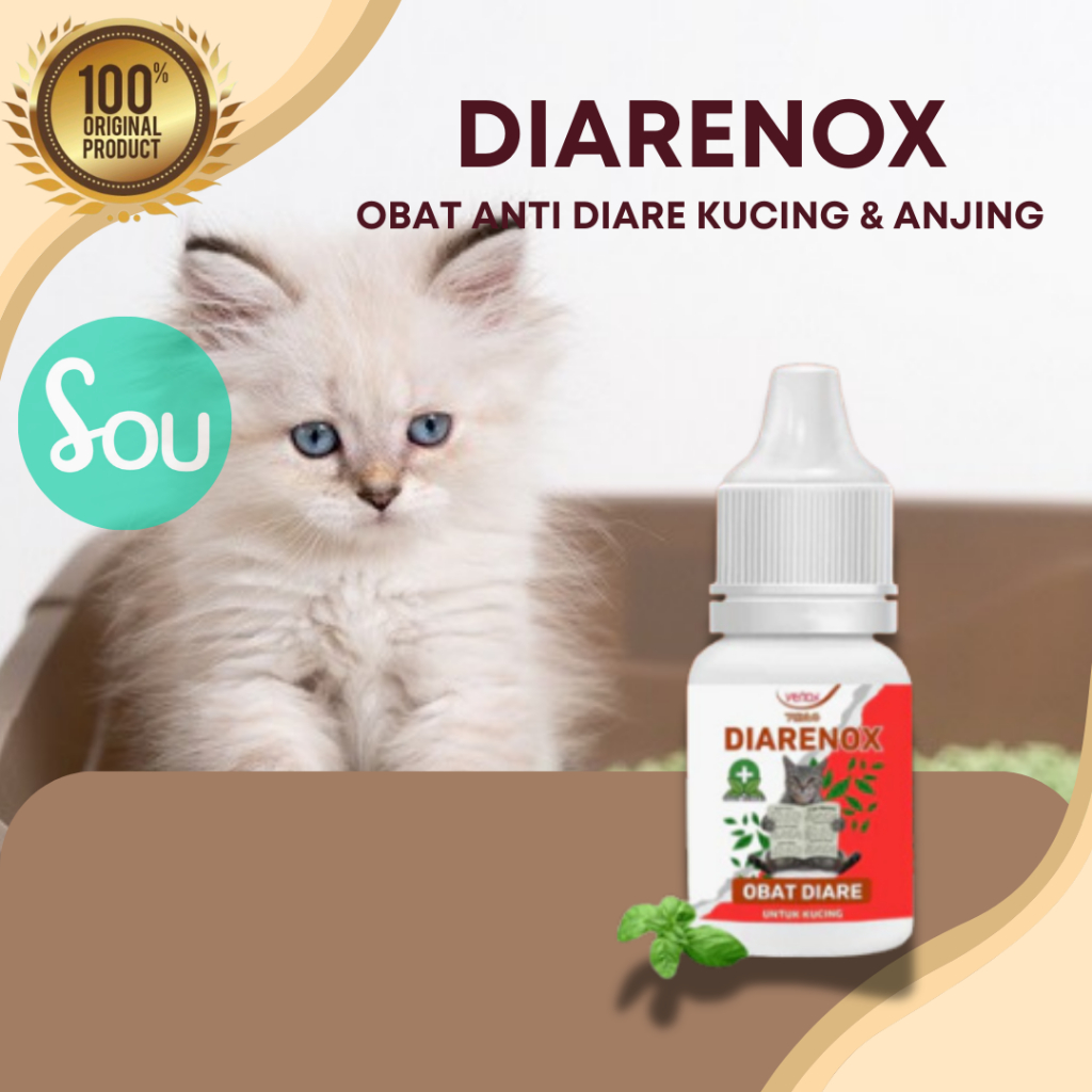 Diarenox Obat Mencret Diare Anak Kucing Venox Anti Diare Mencret Cat Kitten Adult Obat Sakit Perut K