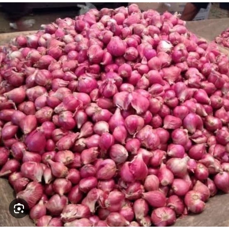 

Bawang merah kotor 1kg