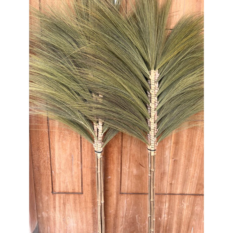 pampas stik | pampas bulu rayung batang bambu | dekorasi rustic