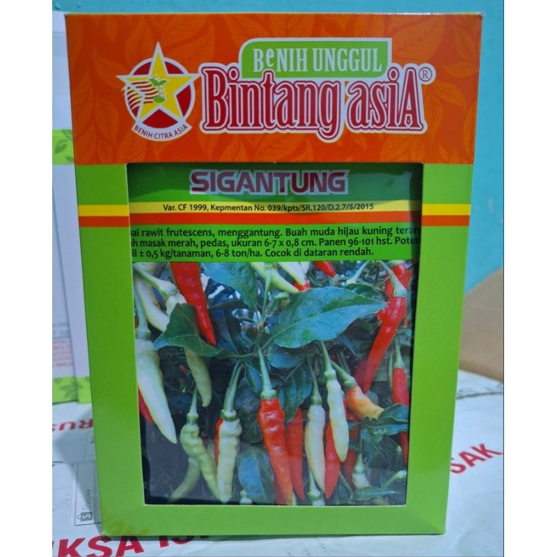 1 Kotak / 15 Bungkus Benih Cabe Caplak SIGANTUNG isi 10 gram