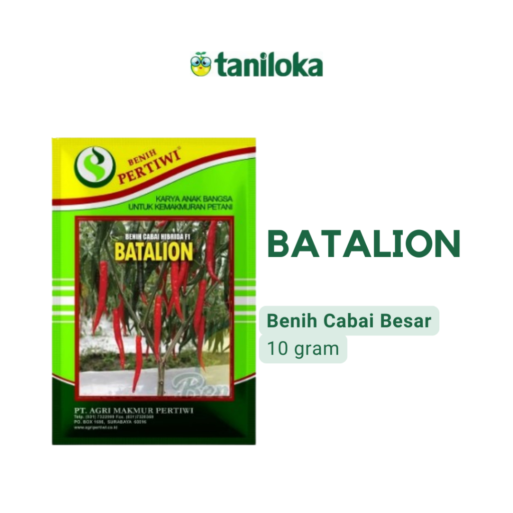Benih Pertiwi - Benih Cabai Besar Batalion (10 Gram)