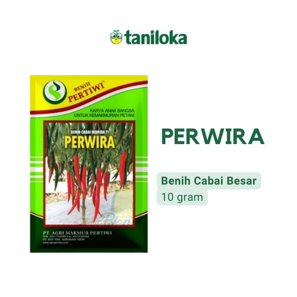 Benih Pertiwi - Benih Cabai Besar Perwira (10 Gram)