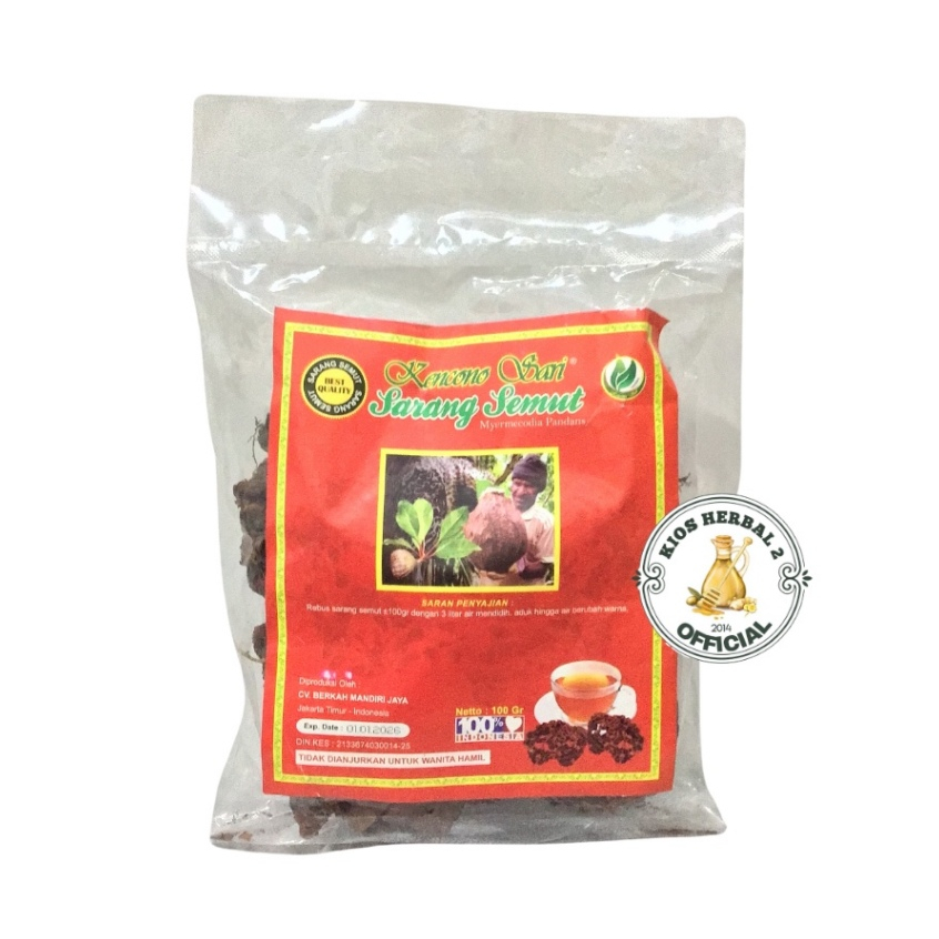 Sarang semut asli Papua, sarang semut, asli,sarang semut aur