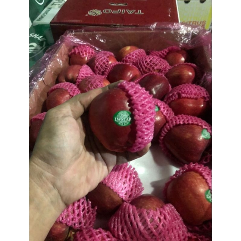 

Apel Fuji Biasa 17 kg isi 138 pcs