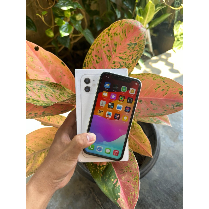 Iphone 11 128 GB Ibox