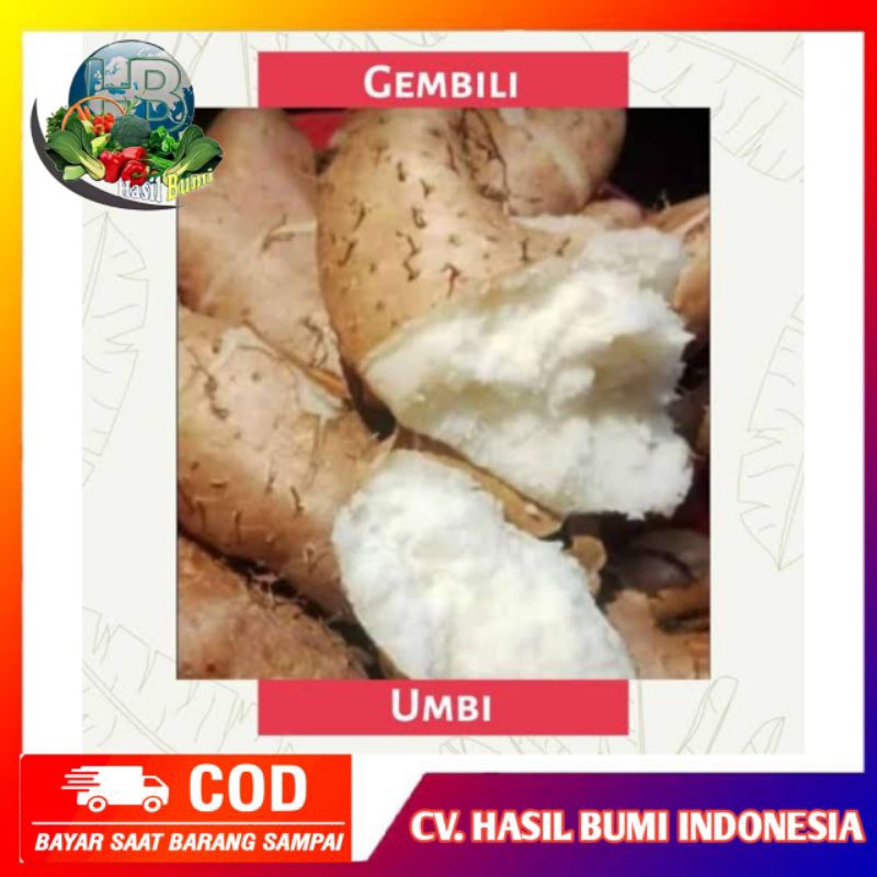 

Umbi gembili pulen 500gram umbi pulen enak