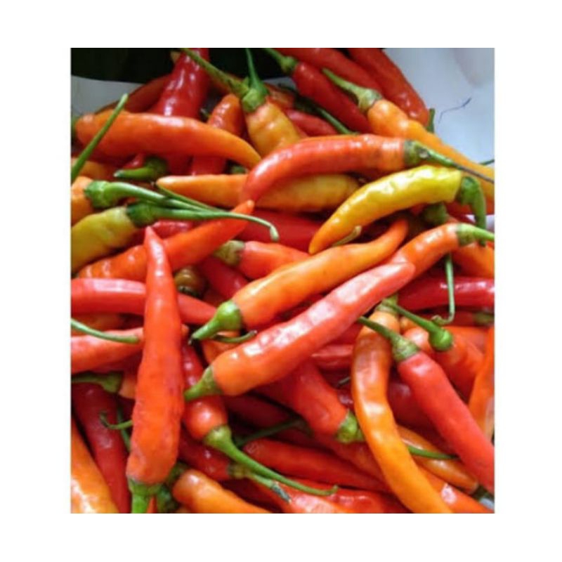 

Rawit merah /setan /250g