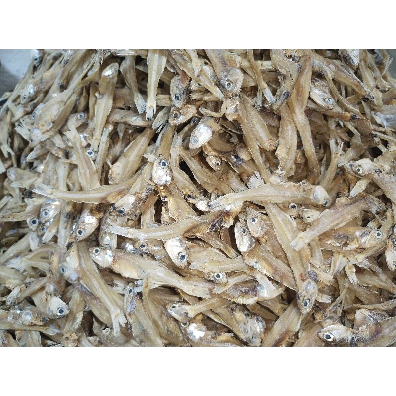 

IKAN KERING LURE KECIL