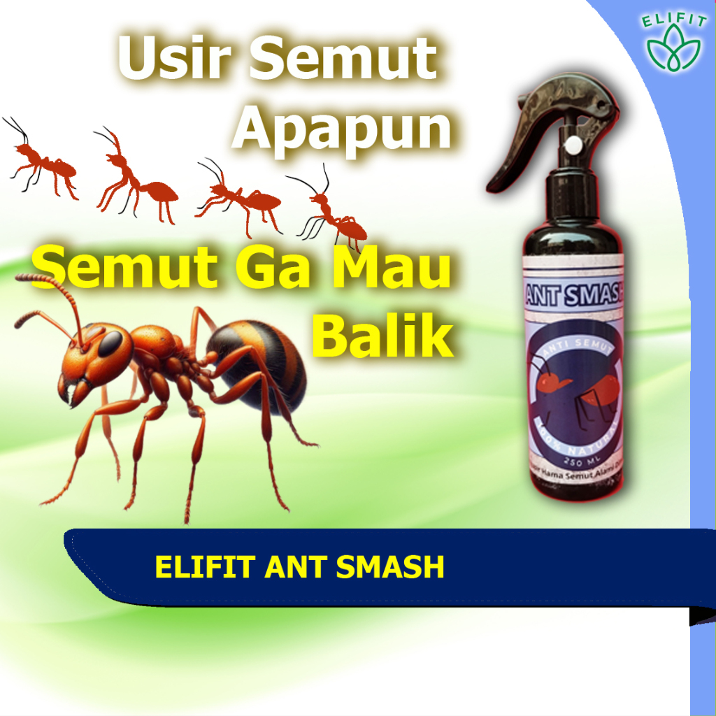 ELIFIT Cairan Obat Spray Semprotan Pengusir Anti Semut Merah Api Untuk Rumah Paling Super Ampuh Orig