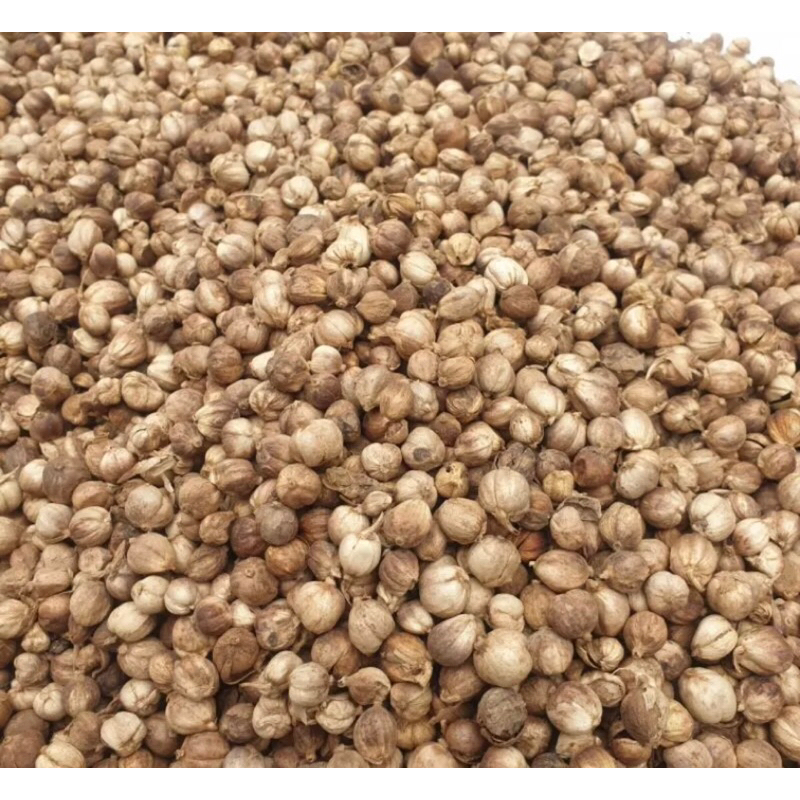 

KAPOLAGA/KAPULAGA BAHAN REMPAH 250gr