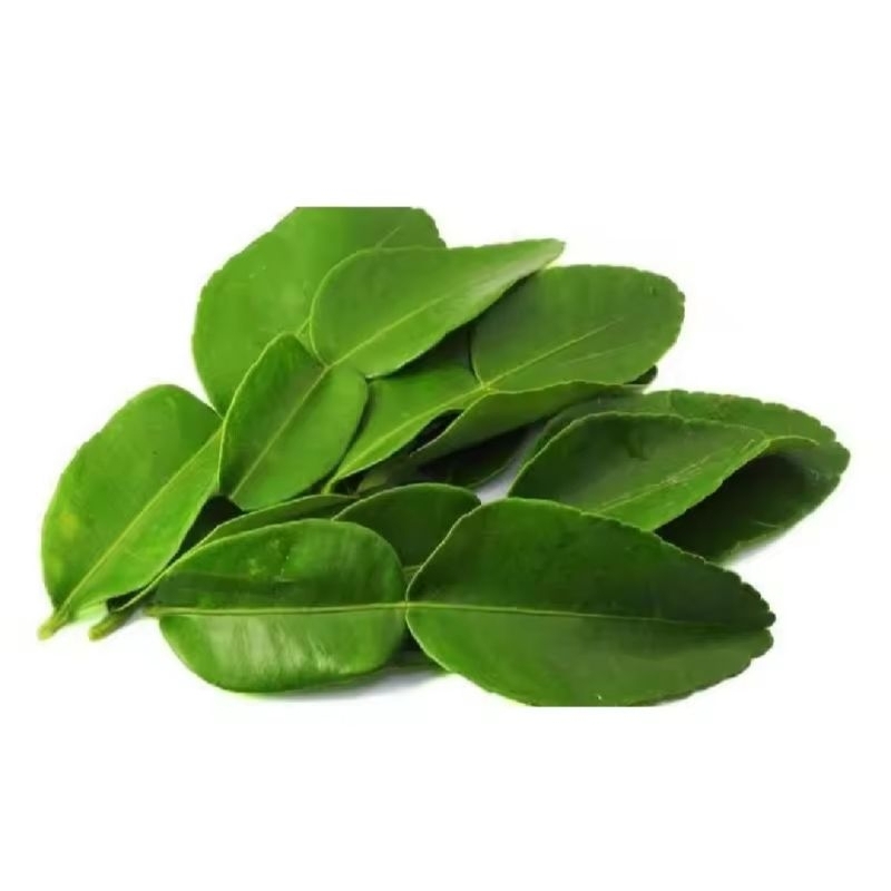 

Daun jeruk purut segar/Daun jeruk Bumbu