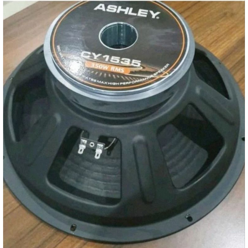 SPEAKER ASHLEY CY1535 15 inch 350 watt