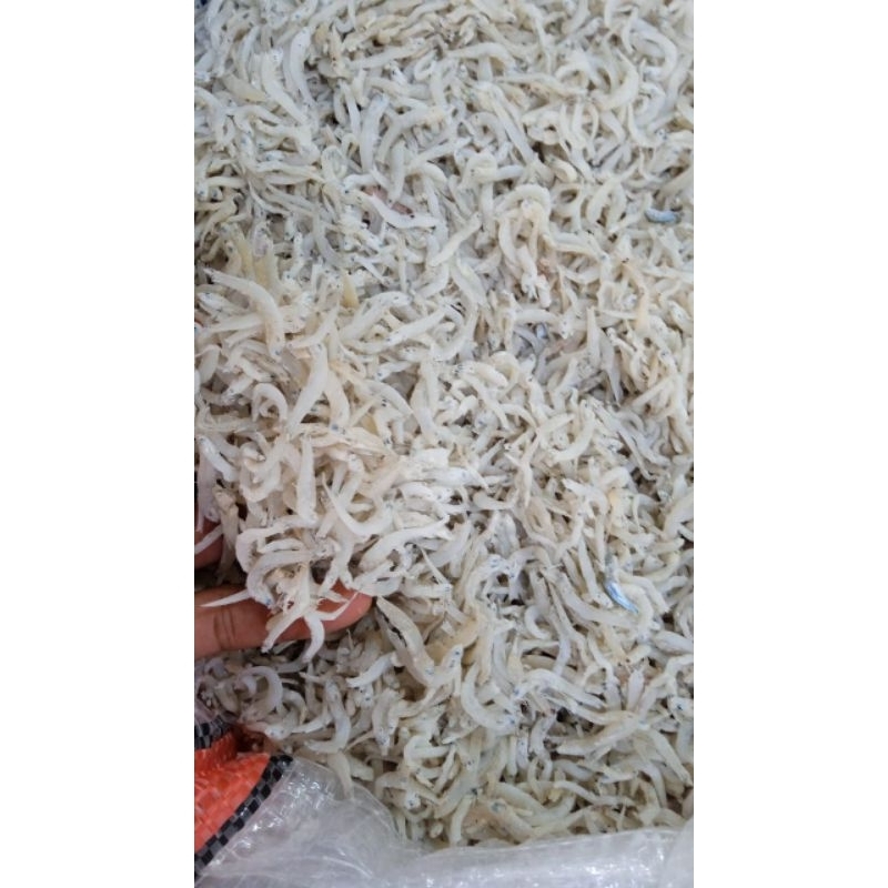 

Teri Nasi Ukuran Sedang ukuran 500gr