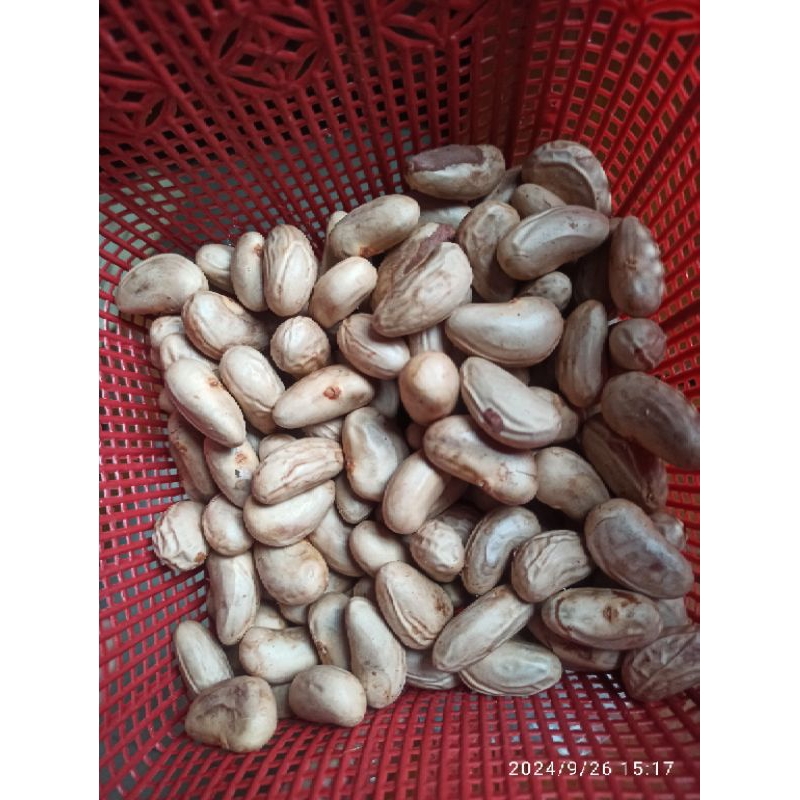 

kacang almon besar