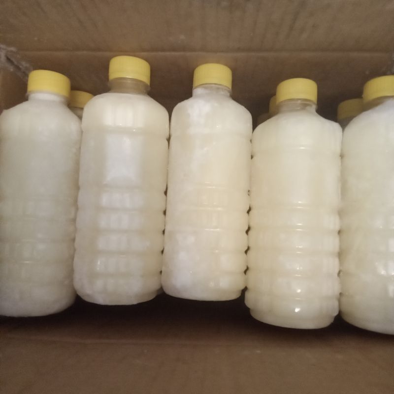 

Susu kambing etawa 500ml susu kambing cair susu kambing murni