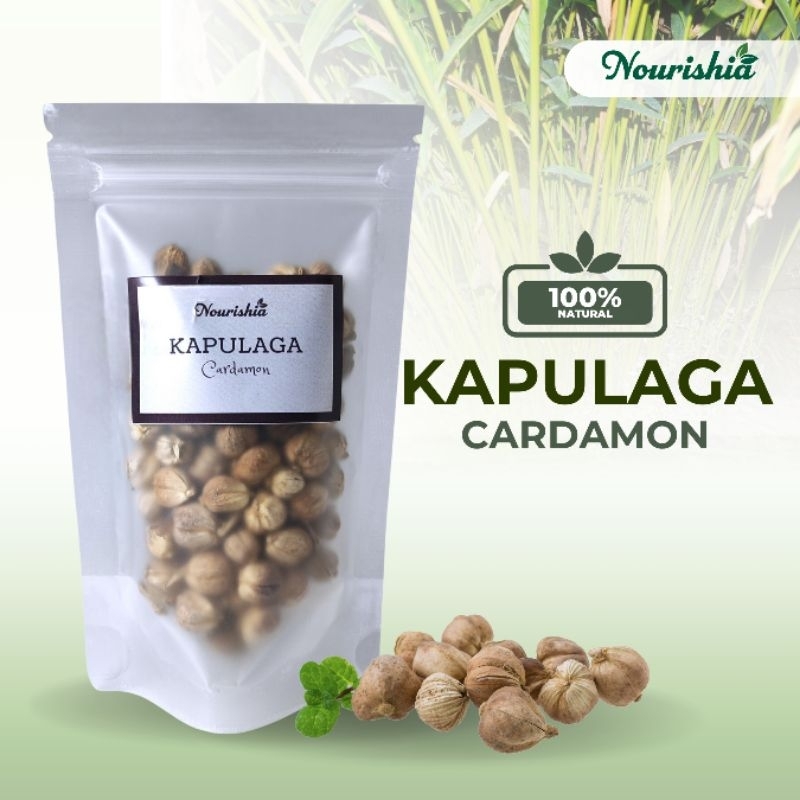 

Kapulaga 20gr dan 40gr / Rempah jsr
