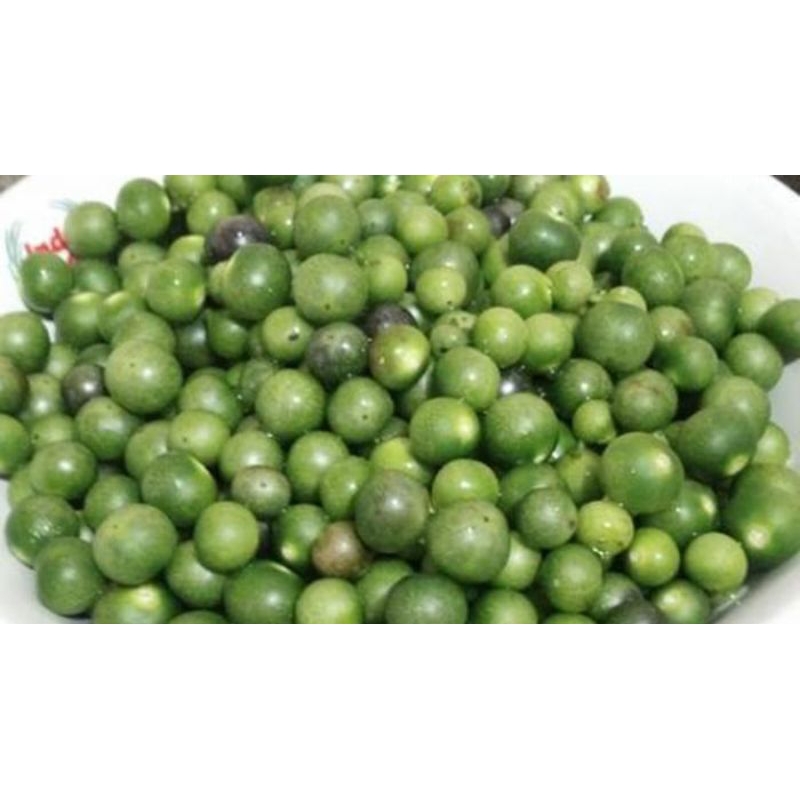 

lencak leunca fres masih segar per 1kg