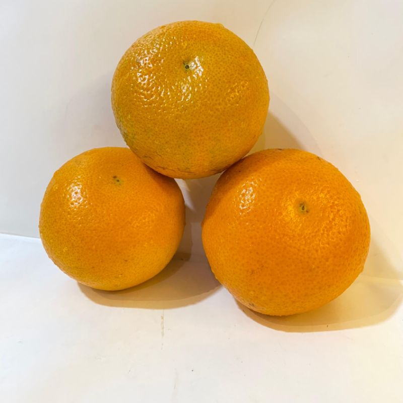 

Jeruk Murchot Citrus 500gr