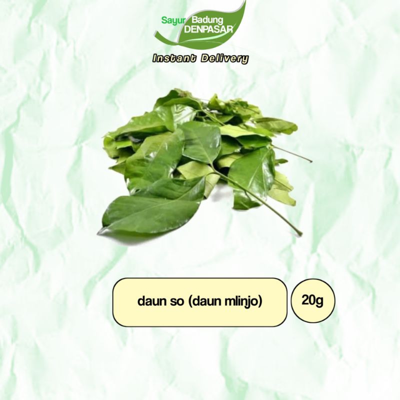 

Sayur Daun So (mlinjo) 20g - Sayur Badung